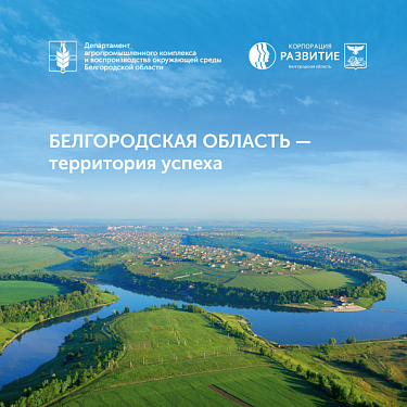 Белгородчина - территория успеха. 2019 год