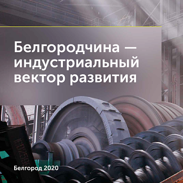 Белгородчина - индустриальный вектор развития. 2020 год